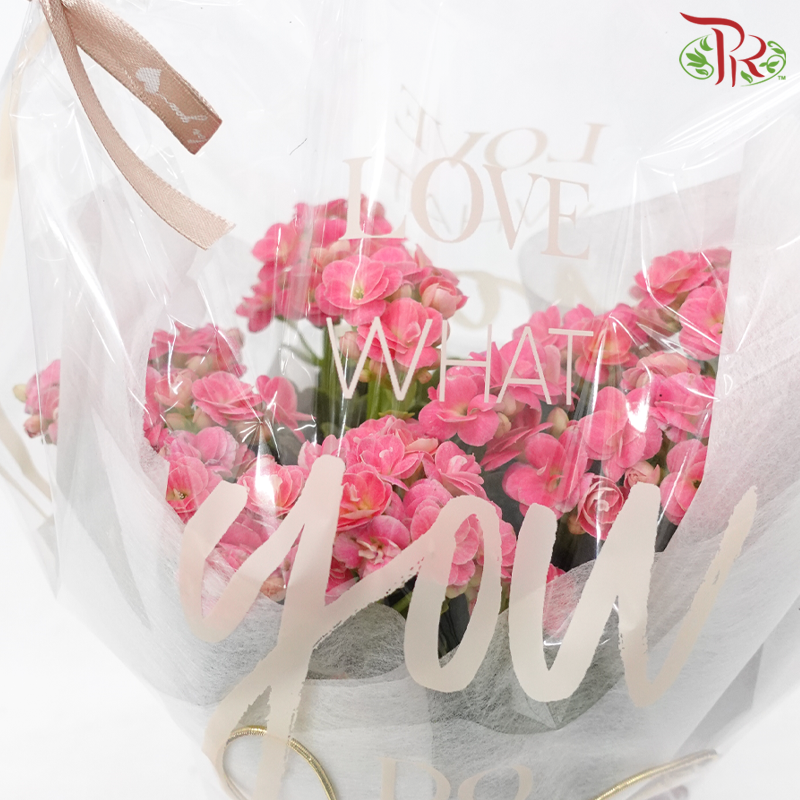 "The Gorgeous Woman"  (Random Choose Flower Color)