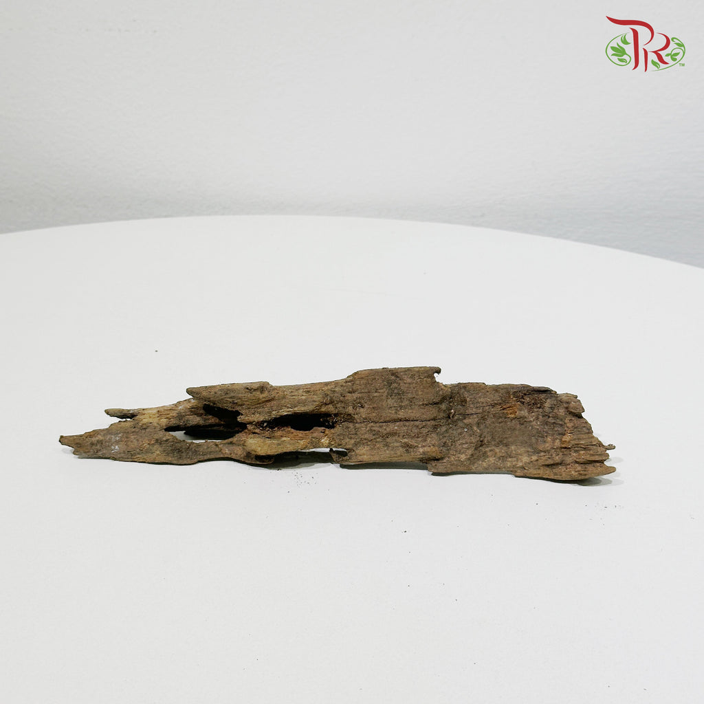 Honeycomb Wood《蜂窝木》S Size - 1KG