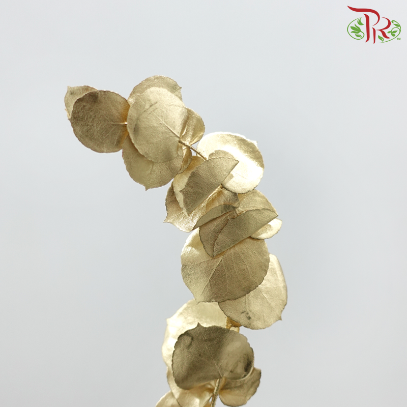 Preserved Eucalyptus Dyed Metal