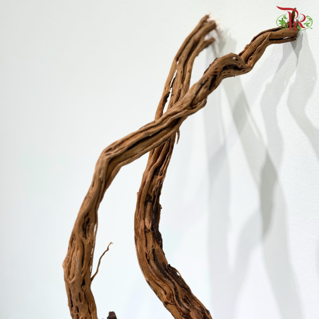Ma Hua Teng Wood 《麻花腾》 1kg