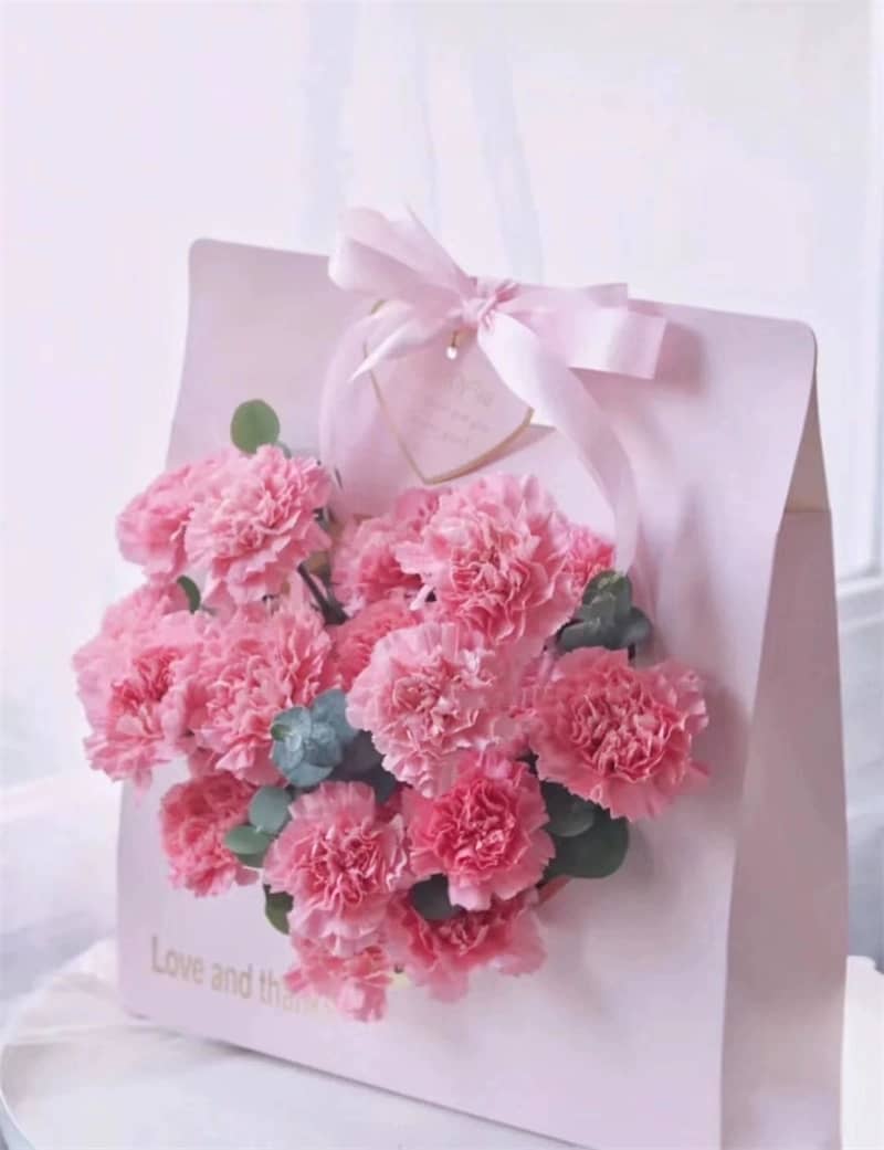 FBA008 HARD CARD HAND CARRIER - Freesia