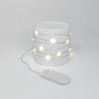 FBA007 LED LIGHTS (2M) - Freesia