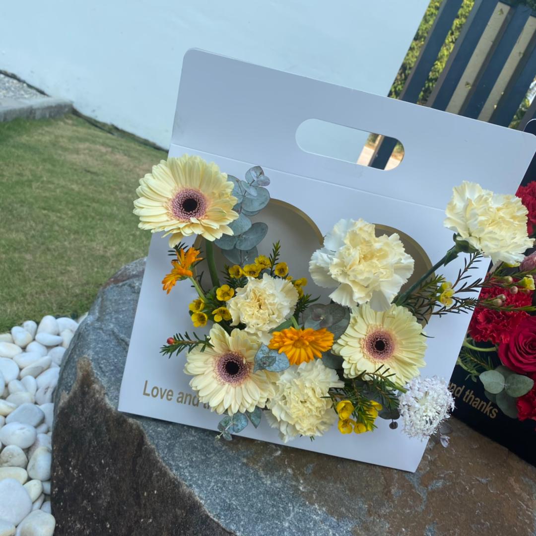 FBA008 HARD CARD HAND CARRIER - Freesia