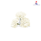 FBA025 CARNATION SOAP FLOWER - Freesia