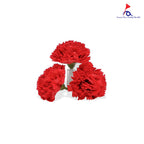 FBA025 CARNATION SOAP FLOWER - Freesia