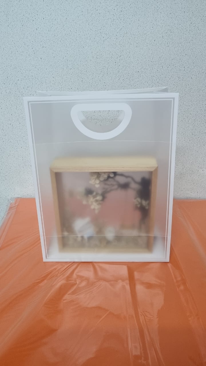 Frosted PVC Bag