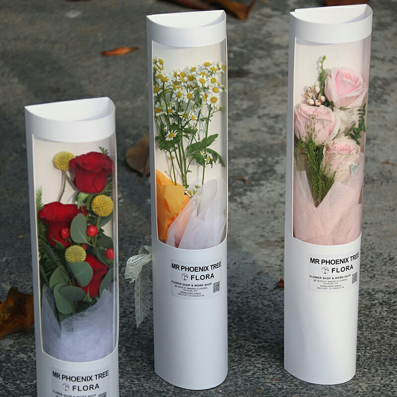 FBB050 CONE 3 (S) (DIY) - Freesia