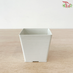 Felton Square Flower Pot (FBL-263-6) (FBL-263-7) (With Size & Color Options)