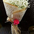 FNT025 - Freesia