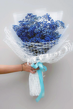 FNT034 KOREAN NETTING - Freesia