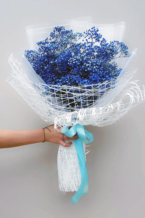 FNT034 KOREAN NETTING - Freesia