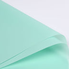 FPL035 OPP KOREA MATTE PLASTIC - Freesia