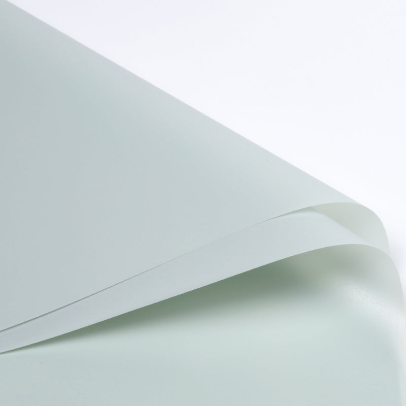 FPL035 OPP KOREA MATTE PLASTIC - Freesia