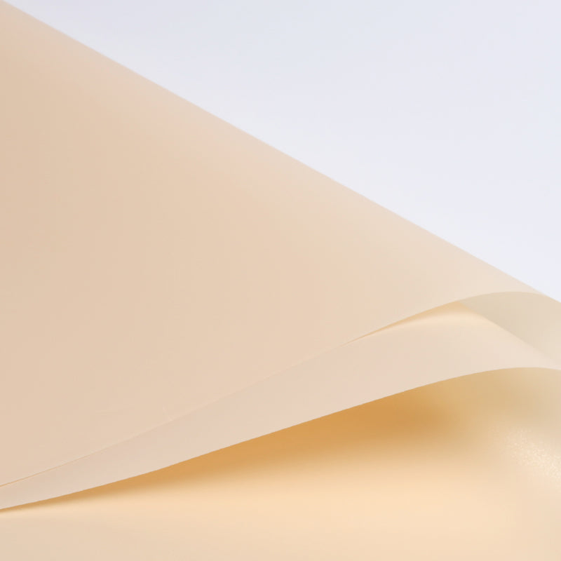 FPL035 OPP KOREA MATTE PLASTIC - Freesia