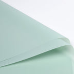 FPL035 OPP KOREA MATTE PLASTIC - Freesia