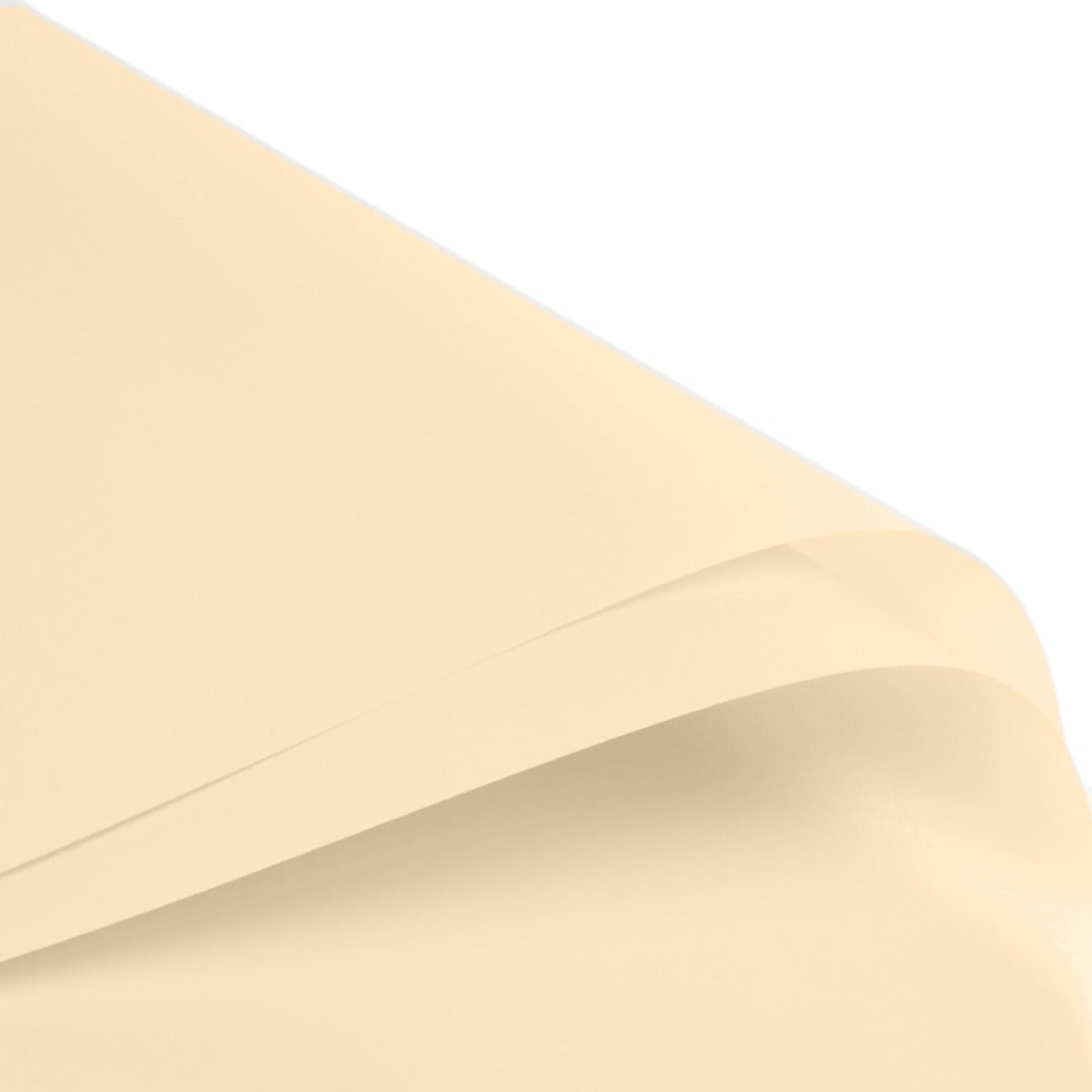 FPL035 OPP KOREA MATTE PLASTIC - Freesia