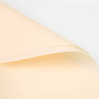 FPL035 OPP KOREA MATTE PLASTIC - Freesia