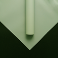 FPL035 OPP KOREA MATTE PLASTIC - Freesia