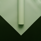 FPL035 OPP KOREA MATTE PLASTIC - Freesia