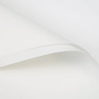 FPL035 OPP KOREA MATTE PLASTIC - Freesia