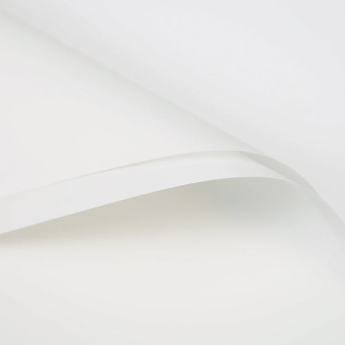FPL035 OPP KOREA MATTE PLASTIC - Freesia