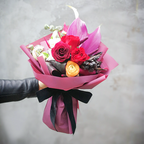FPL049 - Freesia