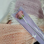 Single Stalk Flower Pack With Silver Frame
