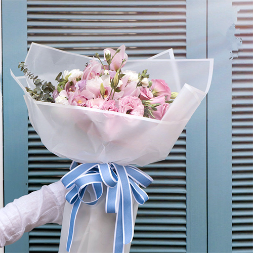 FRB049 - Freesia