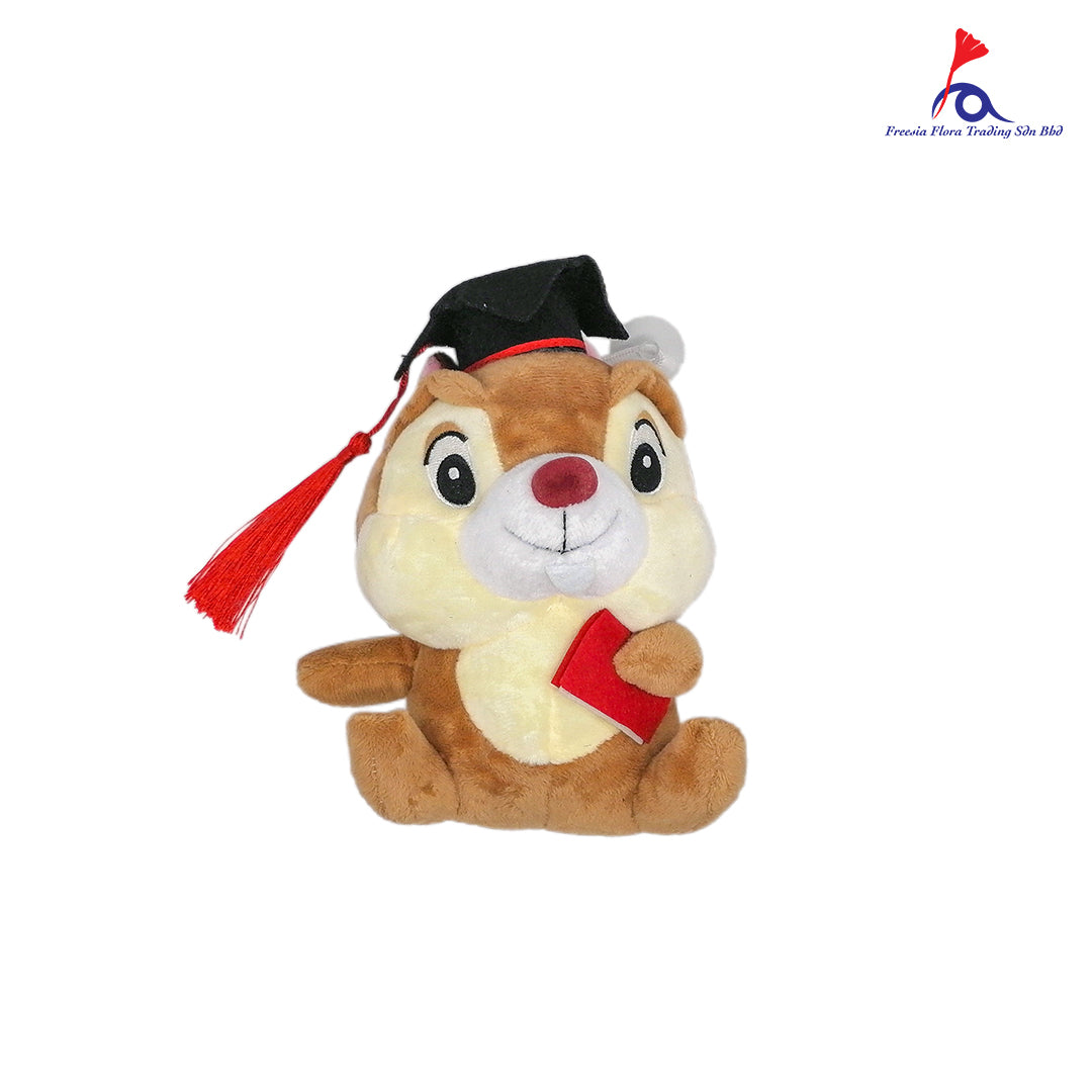 FTY014 8IN GRADUATE BEAR - Freesia