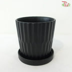 Matte Black Ribbed Ceramic Planter with Saucer