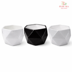 GF8113A Vases