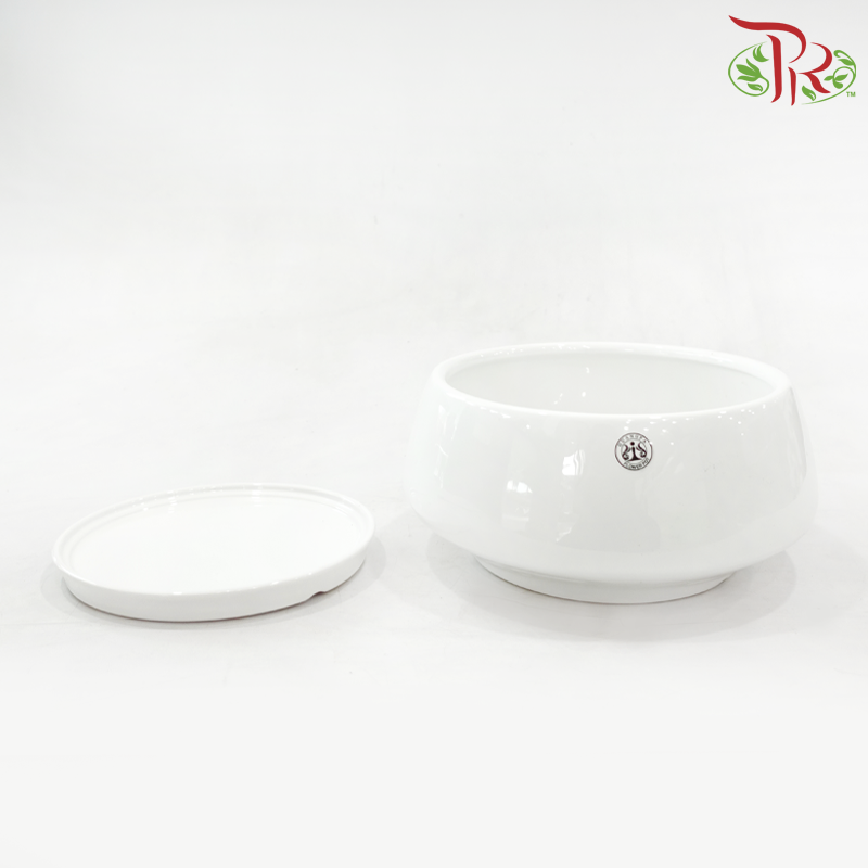GF825A-W Asst Pot