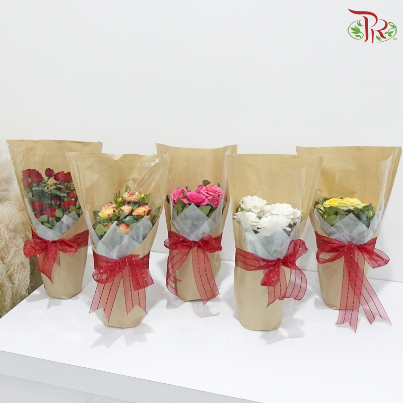 Rose of Mine 《我的玫瑰》(Rose Plant) (Random Plant Color)