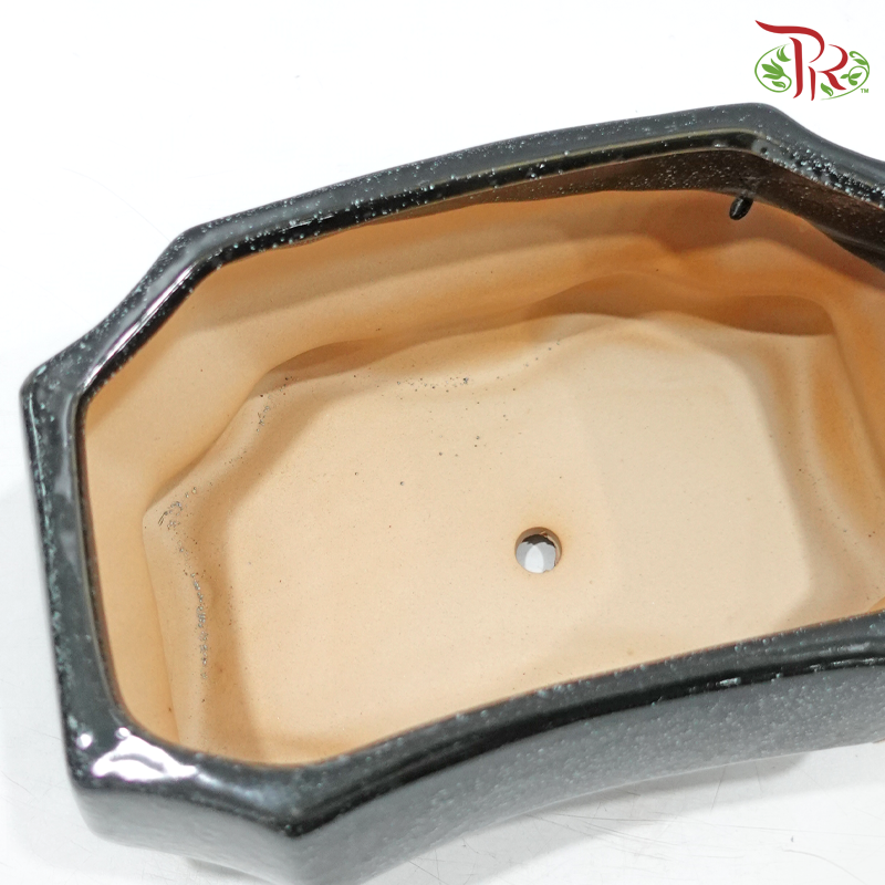 HC-J1940-2B Black Pot