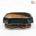 HC-J194-2B Black Pot