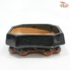 HC-J194-2B Black Pot