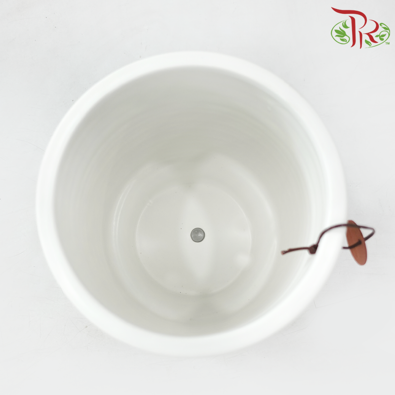 HCZ-576 White Pot