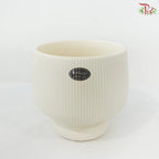 Modern Ribbed Ceramic pot