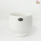 Modern Ribbed Ceramic pot