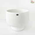 HCZ-599 Pot (With Color Options)