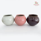 HY-J010A Vase