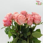 Rose 《玫瑰》