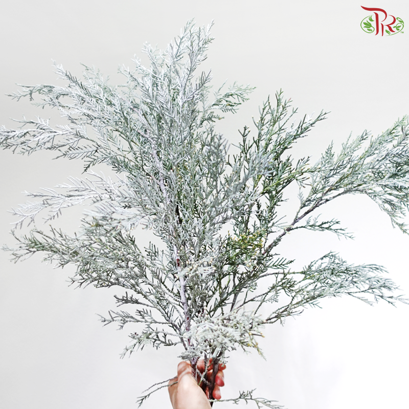 Hinoki