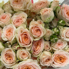 Rose Spray