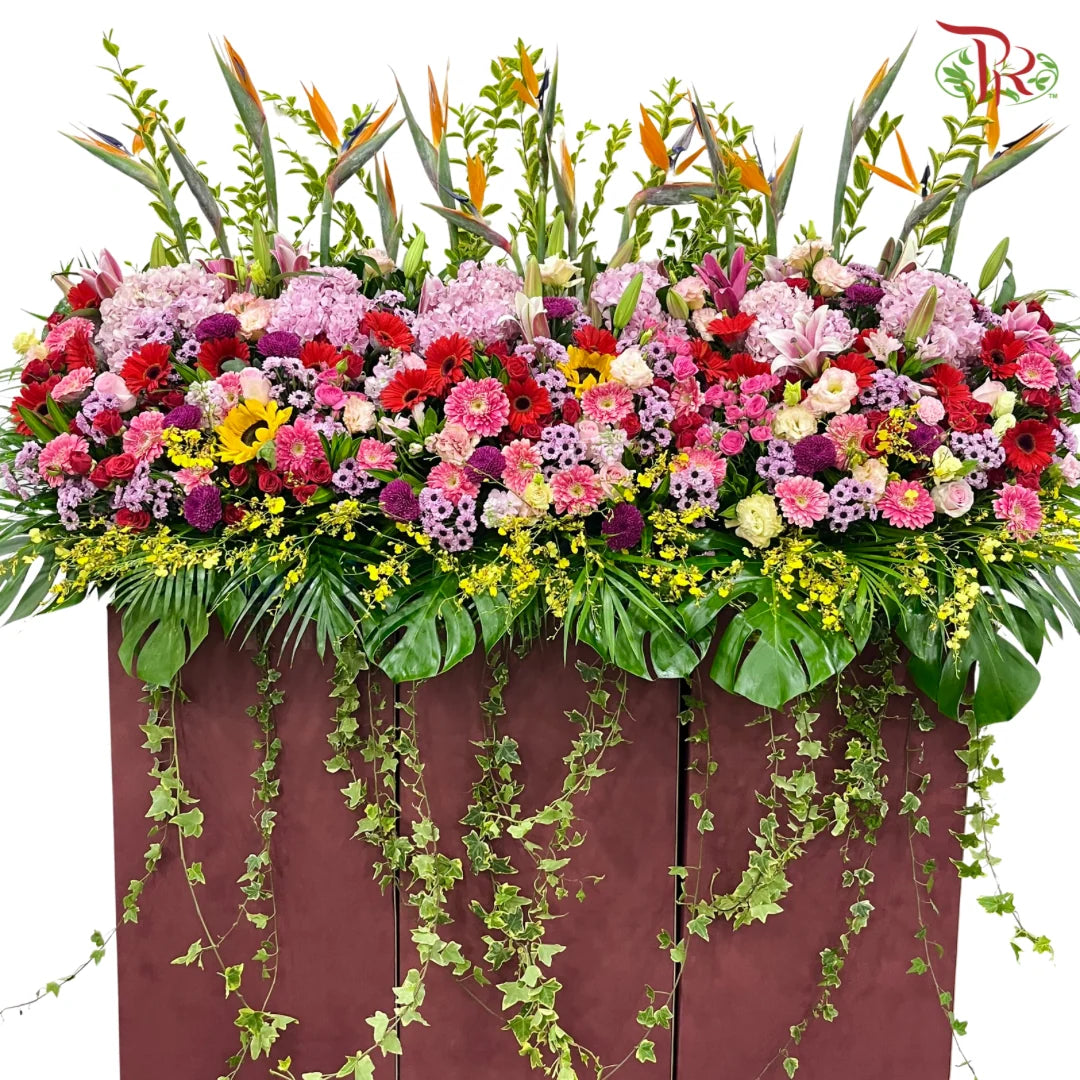Deluxe Opening Stand - Prestige in Bloom