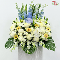 Condolence Stand #7