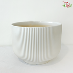 JT-X328 Pot (With Color Option)