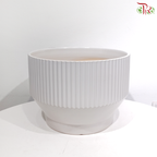 JT-X336 - Pot (With Color & Size Options)