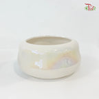 JZ-DW24ZH-24178 pot