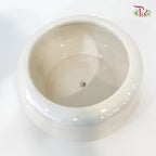 JZ-DW24ZH-24178 pot